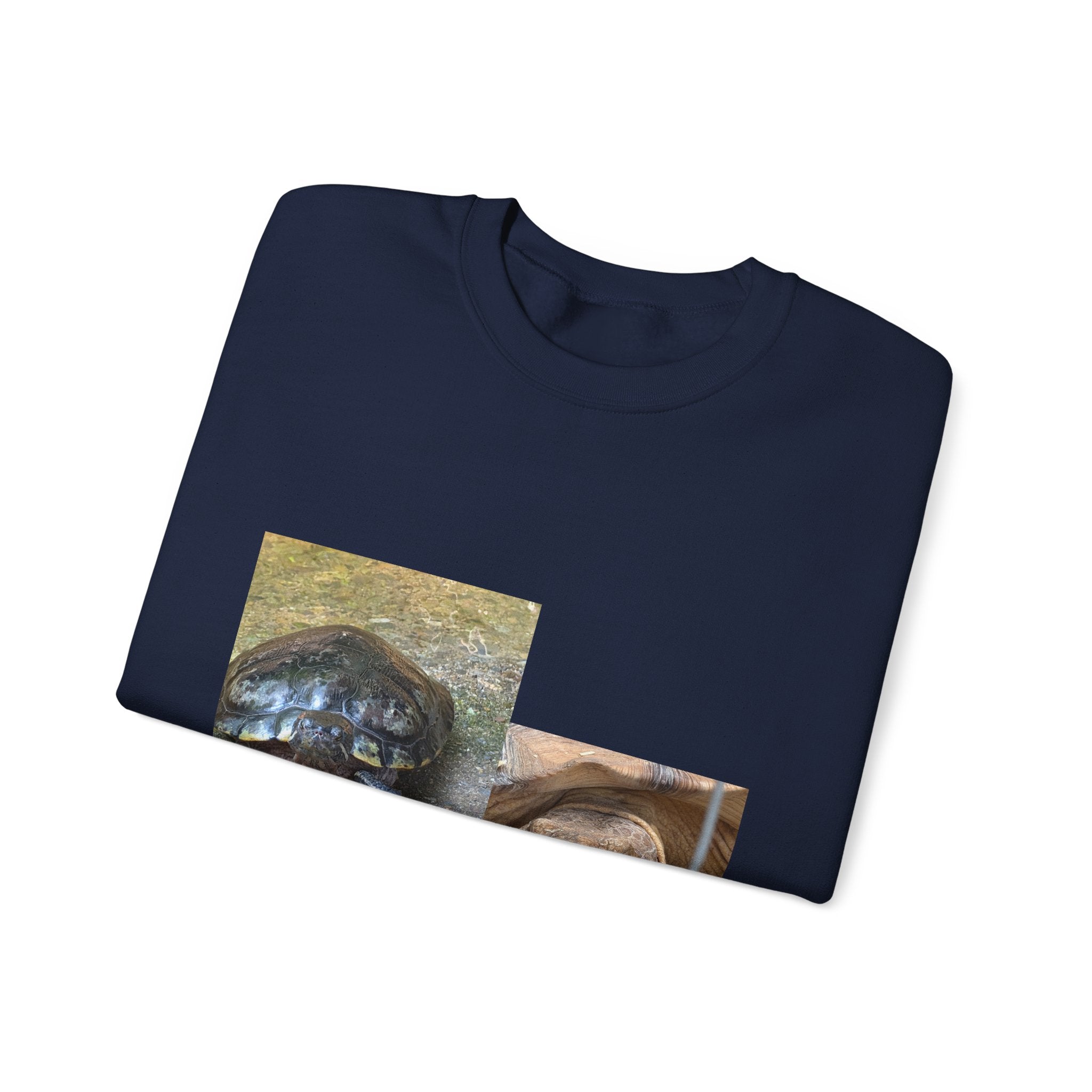 Turtle Photo Crewneck Sweatshirt – Cute Turtle Face Collage Pullover