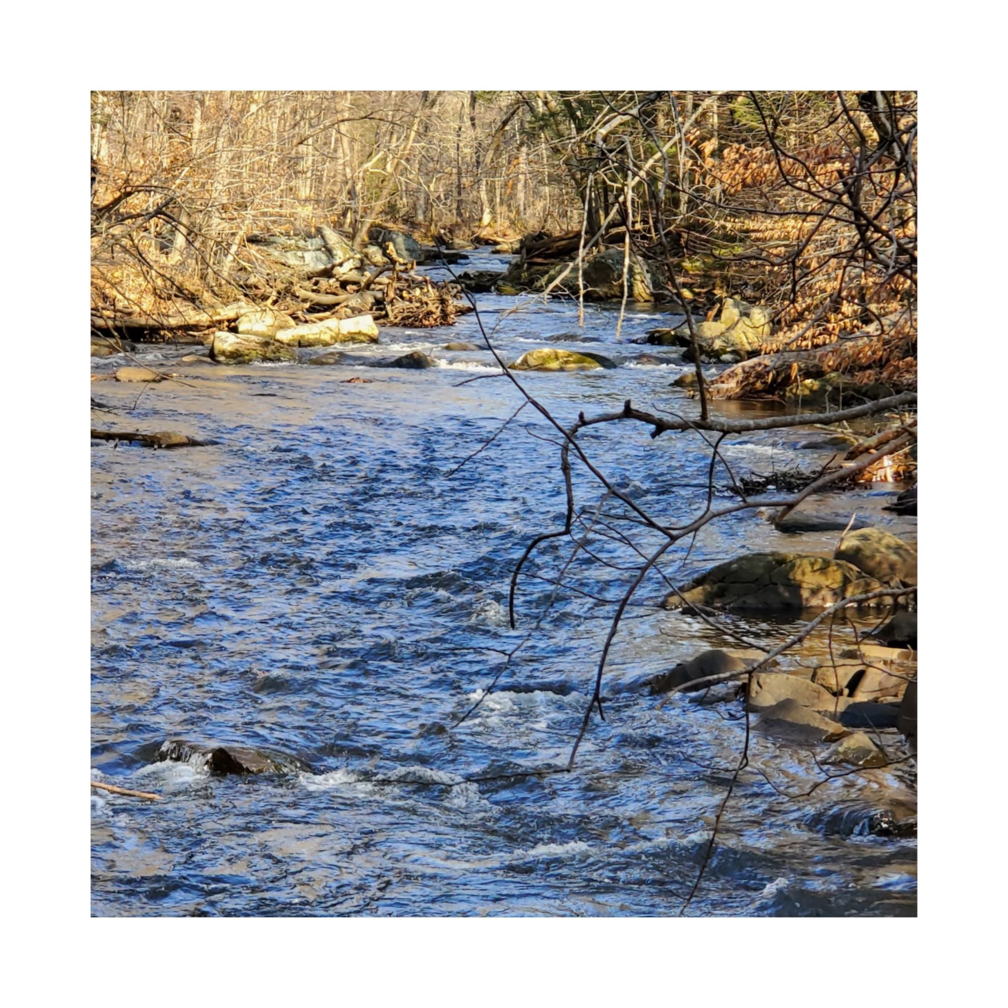 River Stream Nature Poster — Matte Vertical Wall Art for Home & Cabin Décor