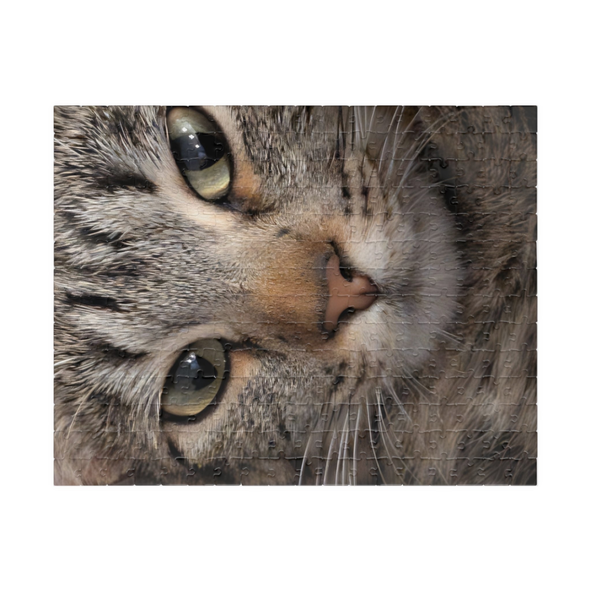 Cat Face Nature Photo Jigsaw Puzzle — Wildlife & Floral Photography Gift Set (110, 252, 520, 1014-piece)