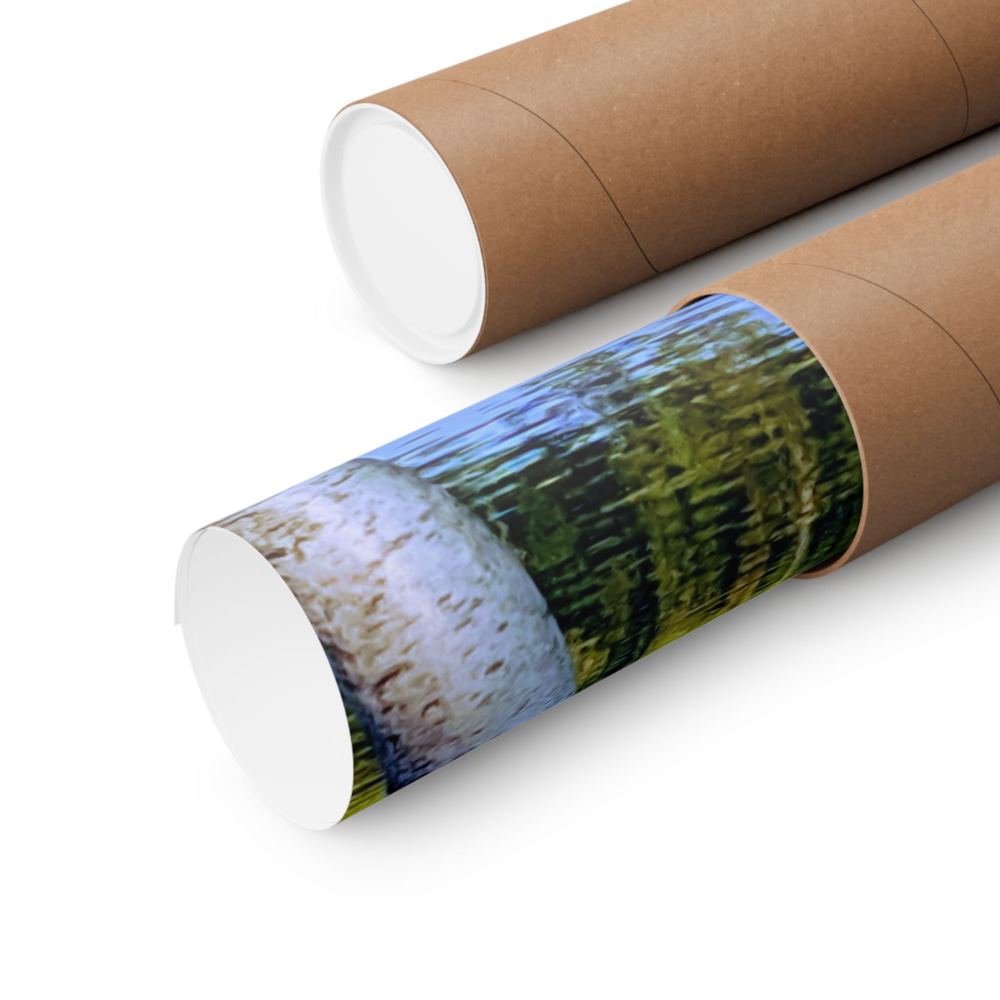 Birch Lake Reflection Matte Poster — Vertical Nature Wall Art