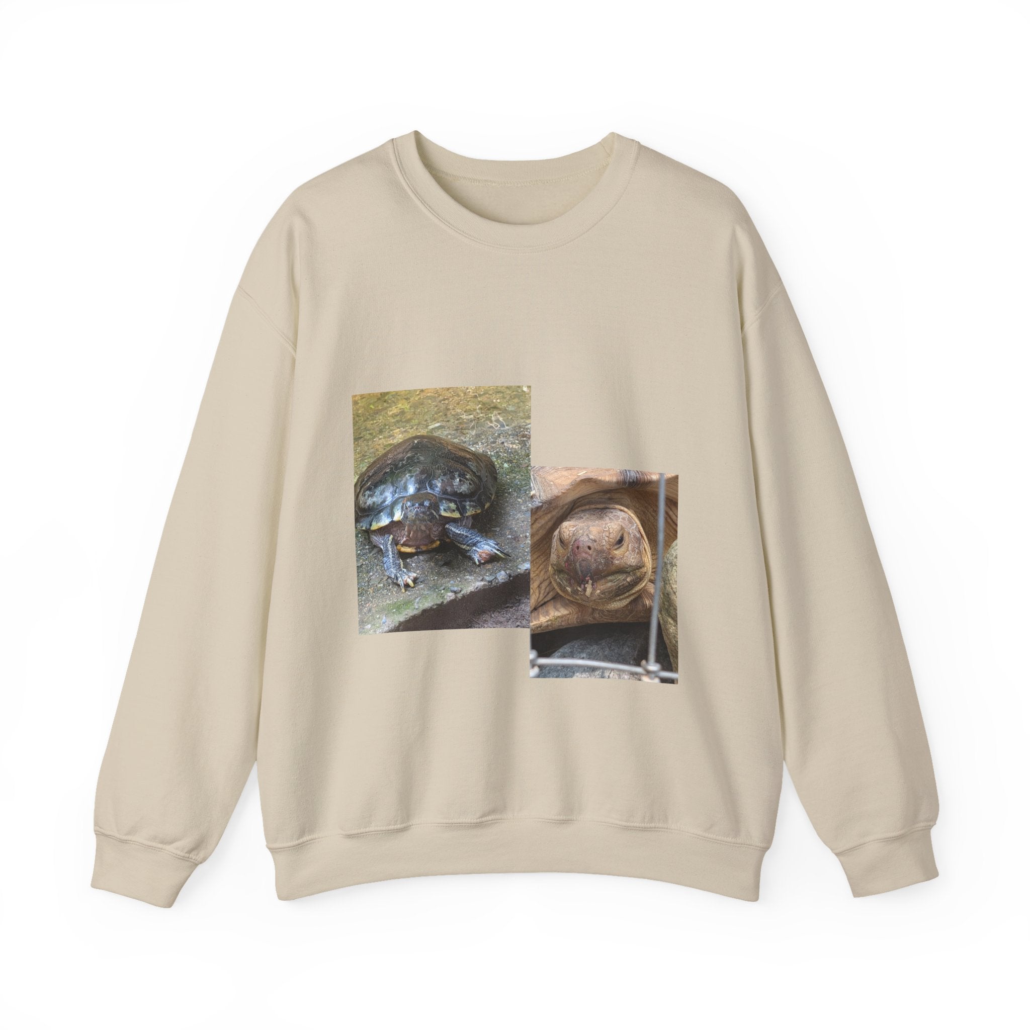 Turtle Photo Crewneck Sweatshirt – Cute Turtle Face Collage Pullover