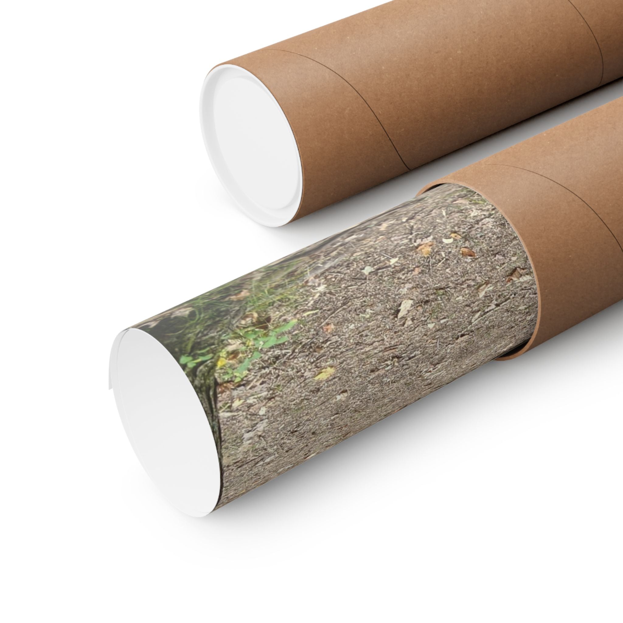 Forest Trail Matte Poster — Green Woodland Nature Photography