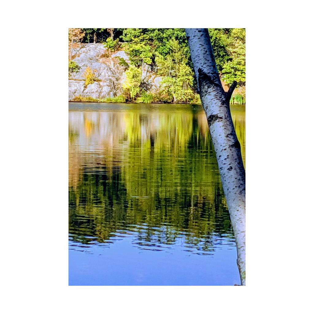 Birch Lake Reflection Matte Poster — Nature Photography Wall Art, Woodland Landscape Print, 46 Sizes