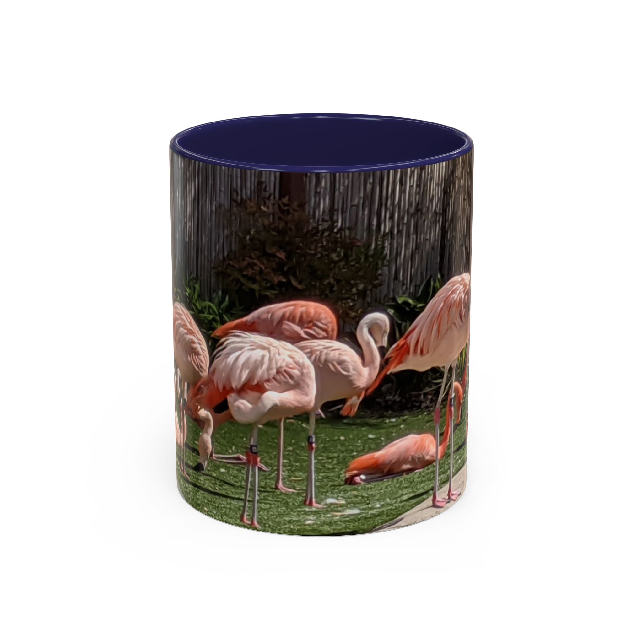 Flamingo Flock Accent Coffee Mug — Tropical Pink Bird Photo (11/15 oz)