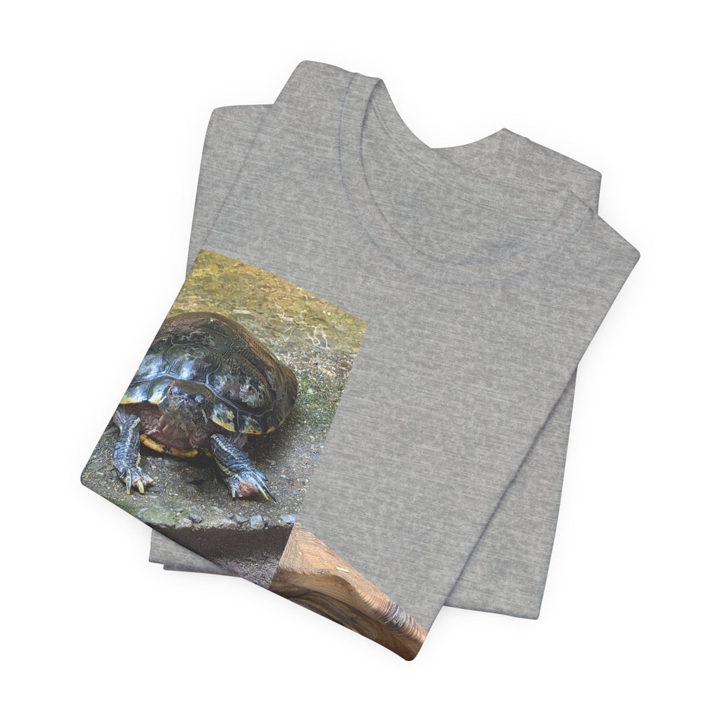 Turtle Photo Collage T-Shirt — Cute Turtle Face Wildlife Graphic Tee, Nature-Inspired Shirt, Turtle Lover Gift