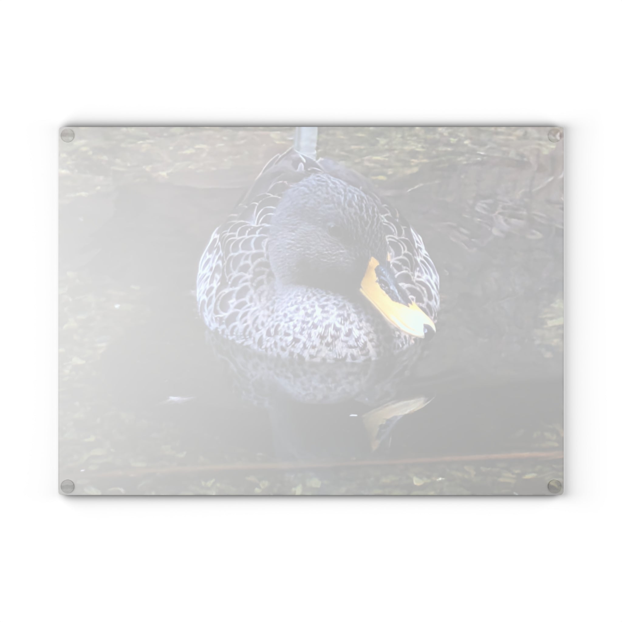 Nature Photography Duck Glass Cutting Board — Floral Kitchen Decor & Gift