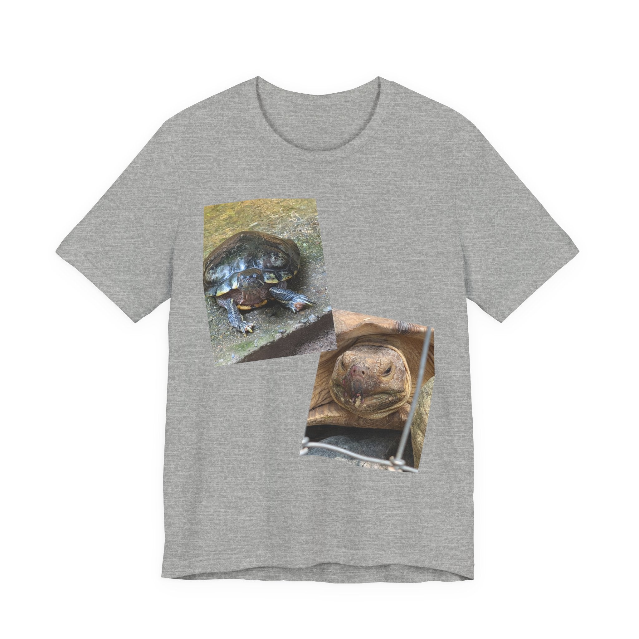 Turtle Photo Collage Tee — Cute Turtle Lovers T-Shirt