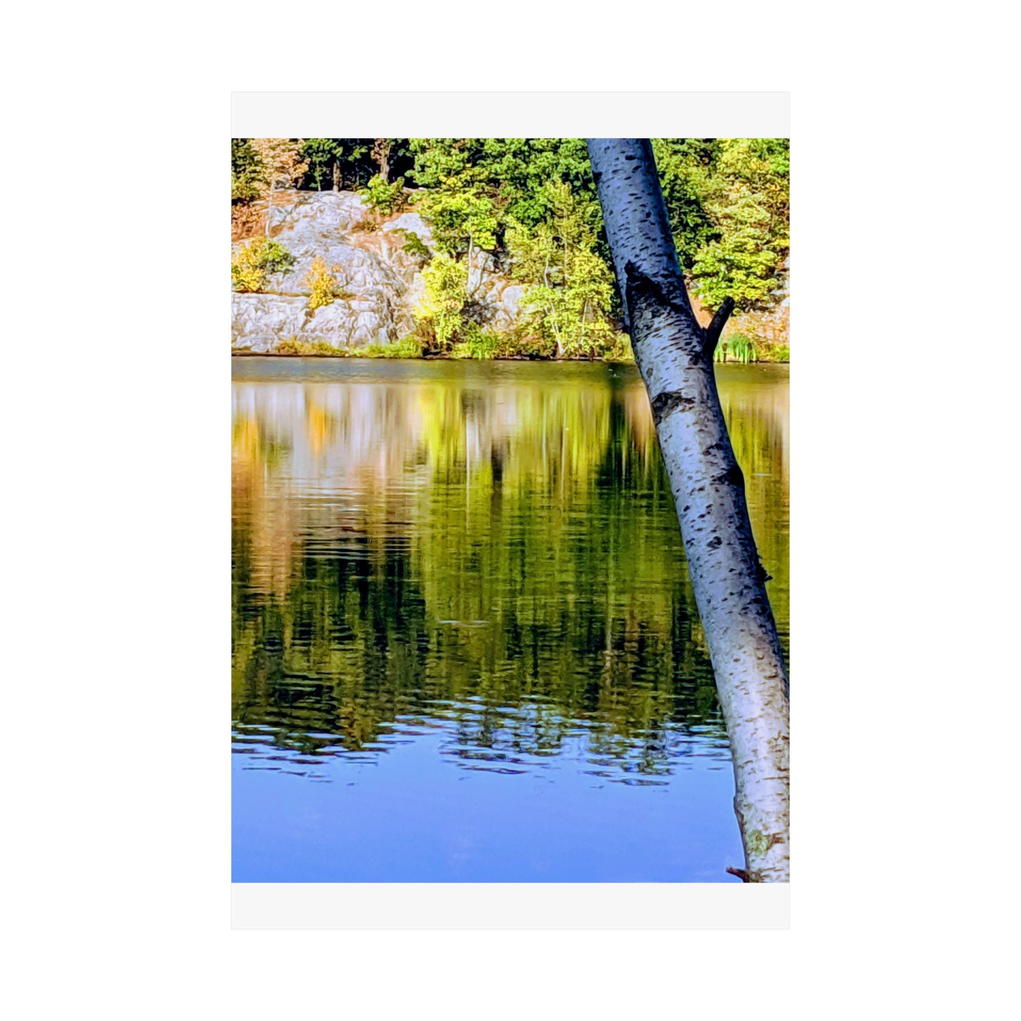 Birch Lake Reflection Matte Poster — Vertical Nature Wall Art