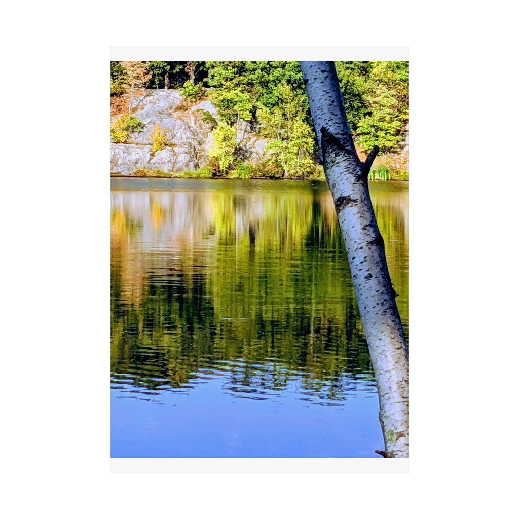 Birch Lake Reflection Matte Poster — Vertical Nature Wall Art