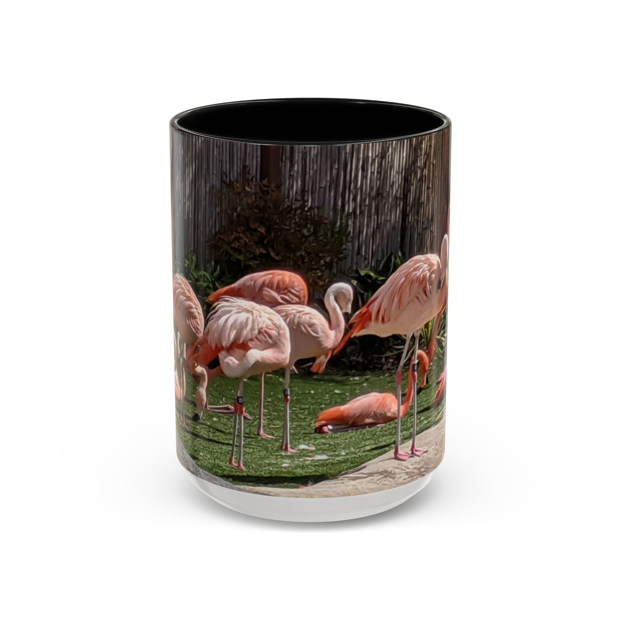 Flamingo Flock Accent Coffee Mug — Tropical Pink Bird Photo (11/15 oz)