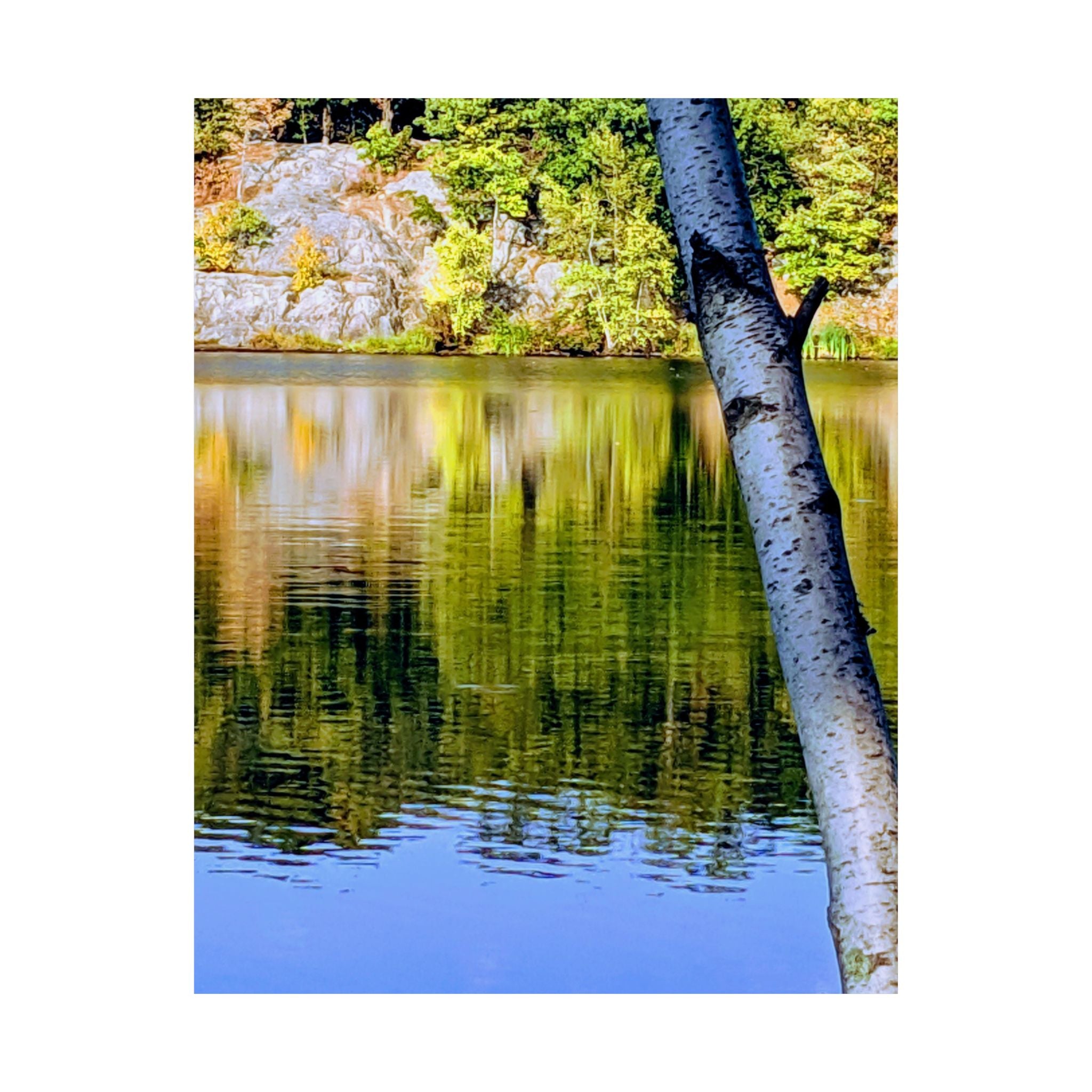 Birch Lake Reflection Matte Poster — Vertical Nature Wall Art
