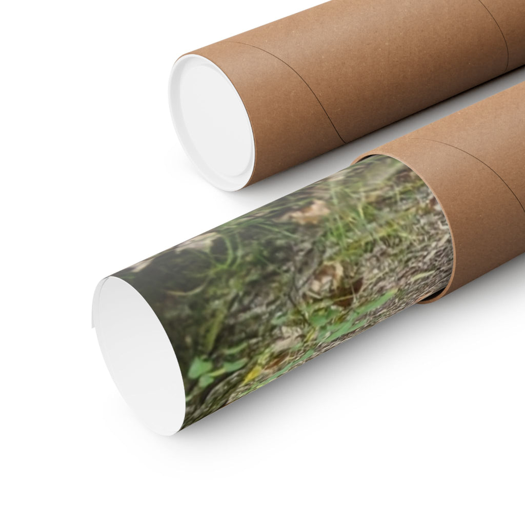 Forest Trail Matte Poster — Green Woodland Nature Photography