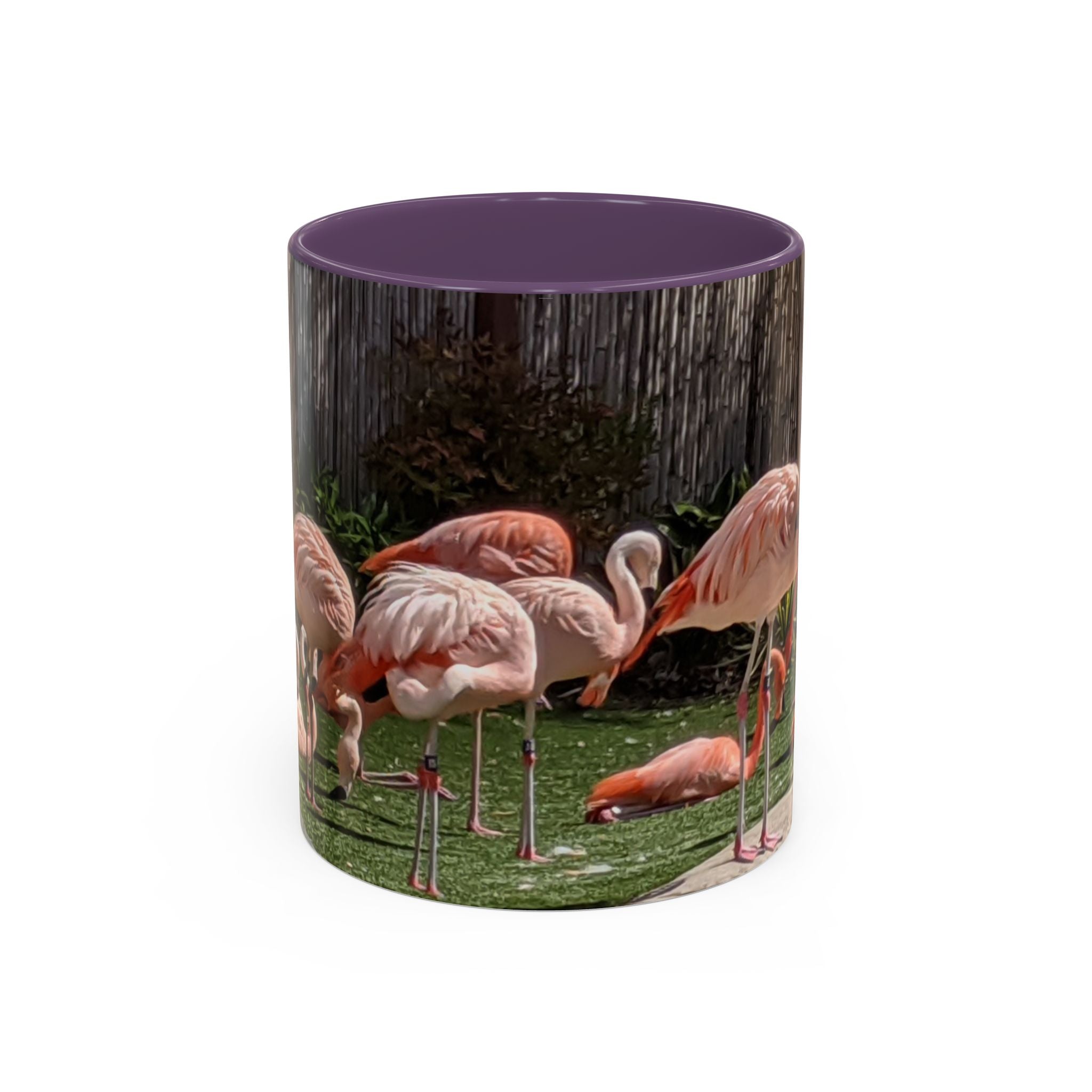 Flamingo Flock Accent Coffee Mug — Tropical Pink Bird Photo (11/15 oz)