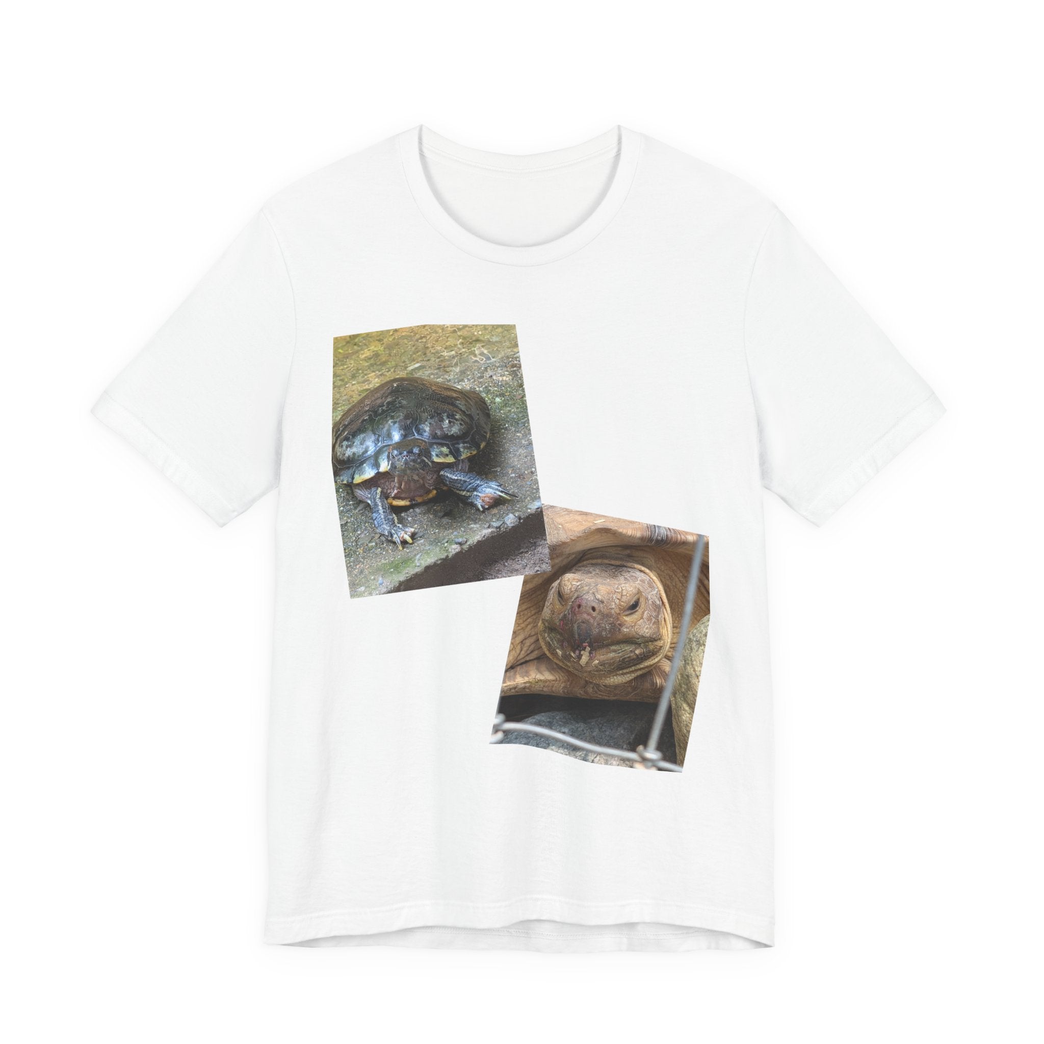 Turtle Photo Collage Tee — Cute Turtle Lovers T-Shirt