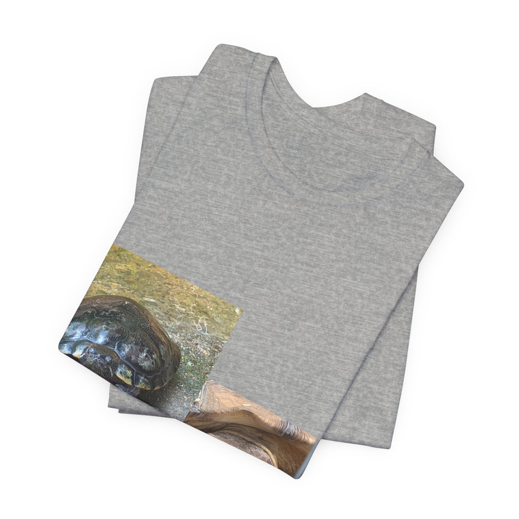 Turtle Photo Collage Tee — Cute Turtle Lovers T-Shirt