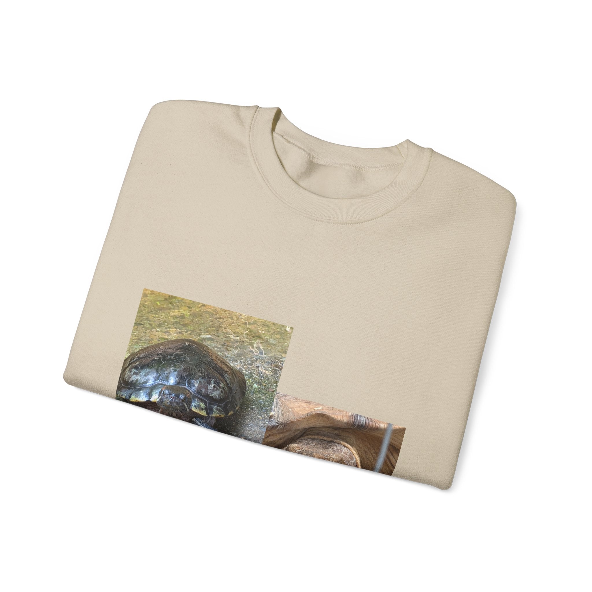 Turtle Photo Crewneck Sweatshirt – Cute Turtle Face Collage Pullover