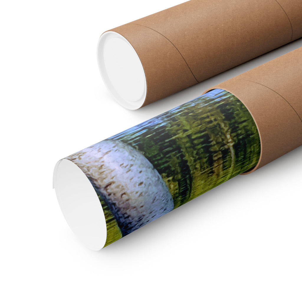 Birch Lake Reflection Matte Poster — Vertical Nature Wall Art