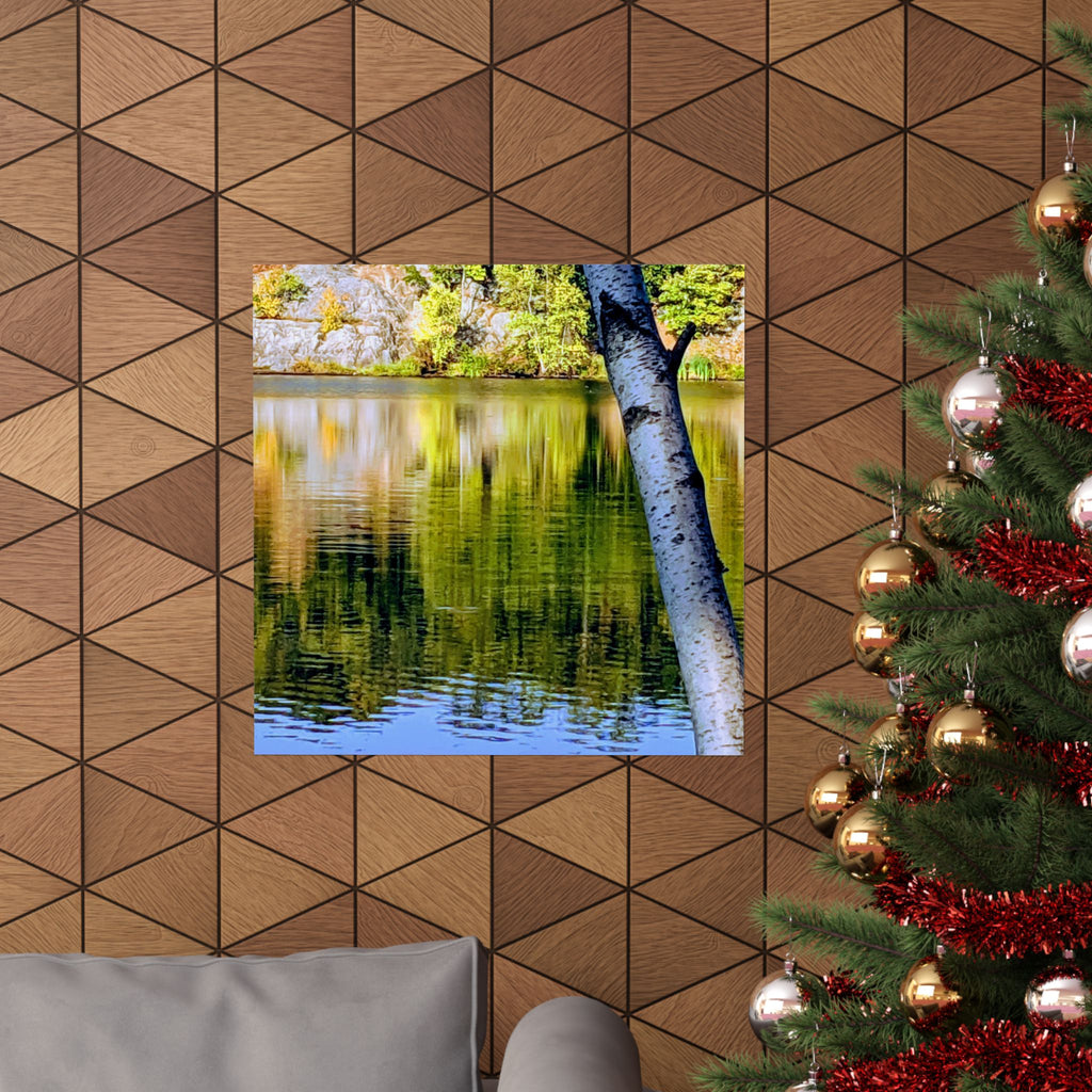 Birch Lake Reflection Matte Poster — Vertical Nature Wall Art