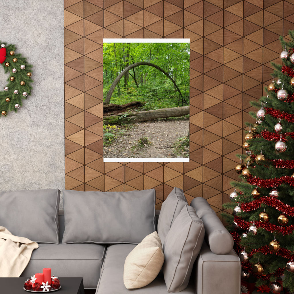 Forest Trail Matte Poster — Green Woodland Nature Photography