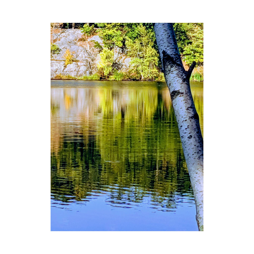 Birch Lake Reflection Matte Poster — Nature Photography Wall Art, Woodland Landscape Print, 46 Sizes