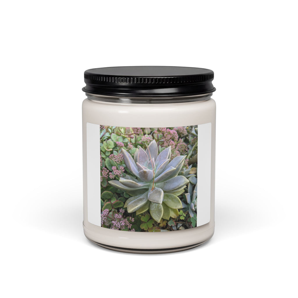 Scented Soy Candle, 9oz