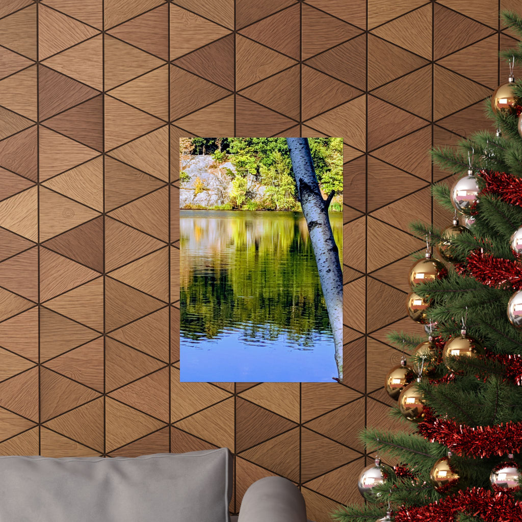 Birch Lake Reflection Matte Poster — Nature Photography Wall Art, Woodland Landscape Print, 46 Sizes