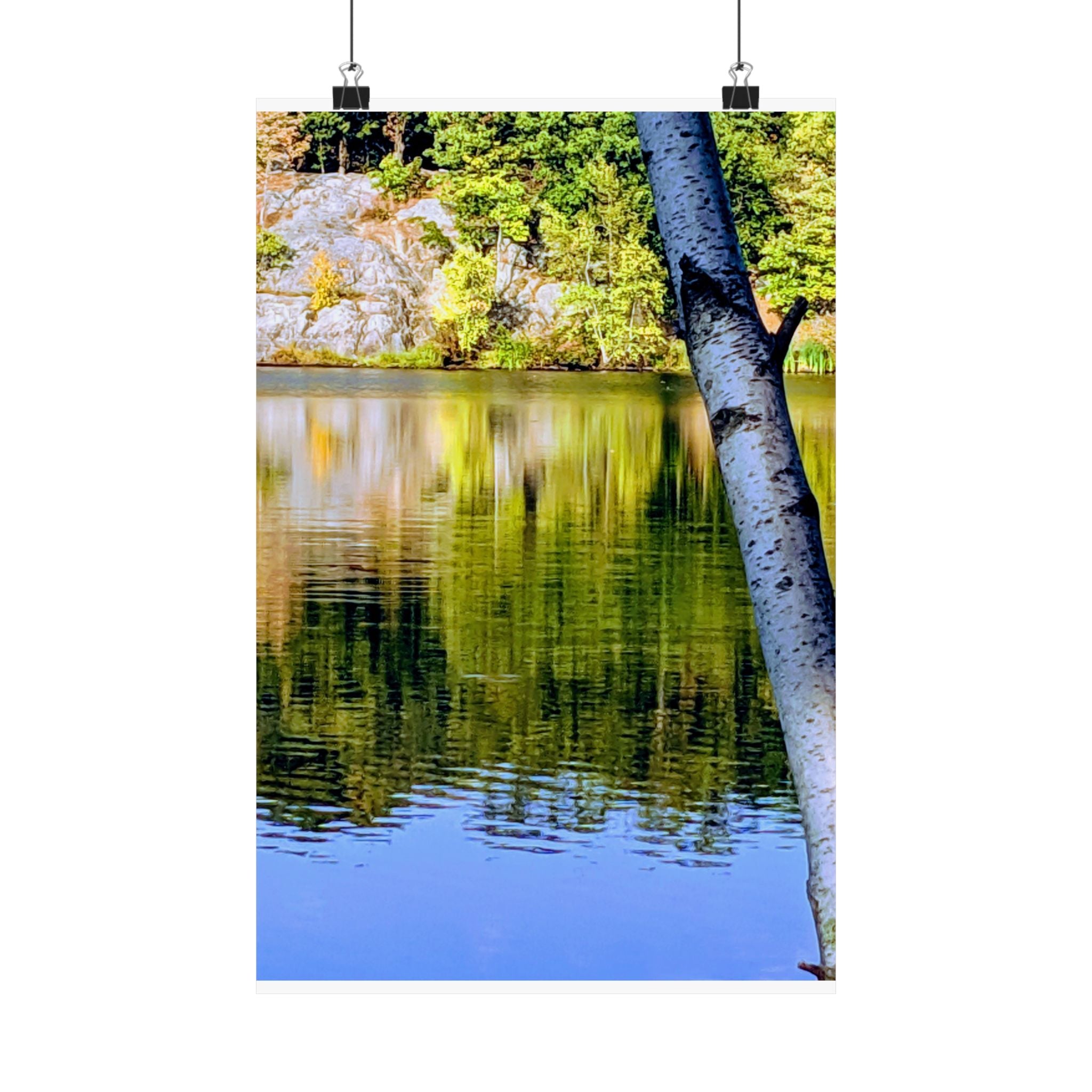 Birch Lake Reflection Matte Poster — Vertical Nature Wall Art