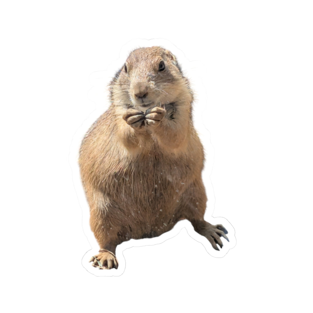 Prairie Dog Kiss-Cut Sticker — Cute Wildlife Laptop Decal