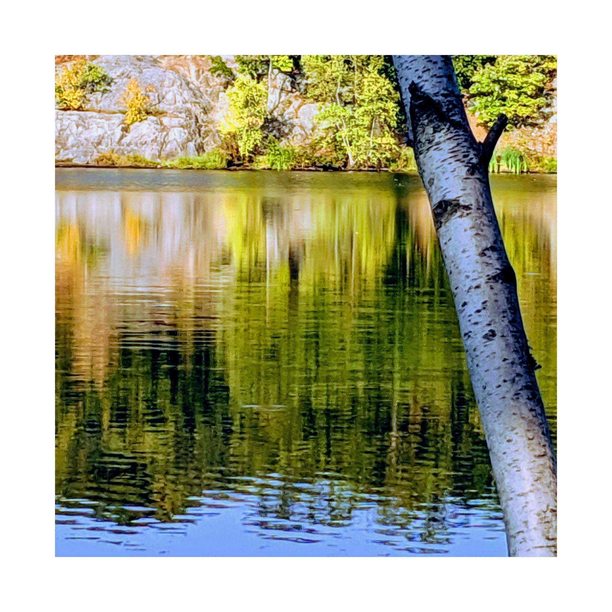 Birch Lake Reflection Matte Poster — Vertical Nature Wall Art